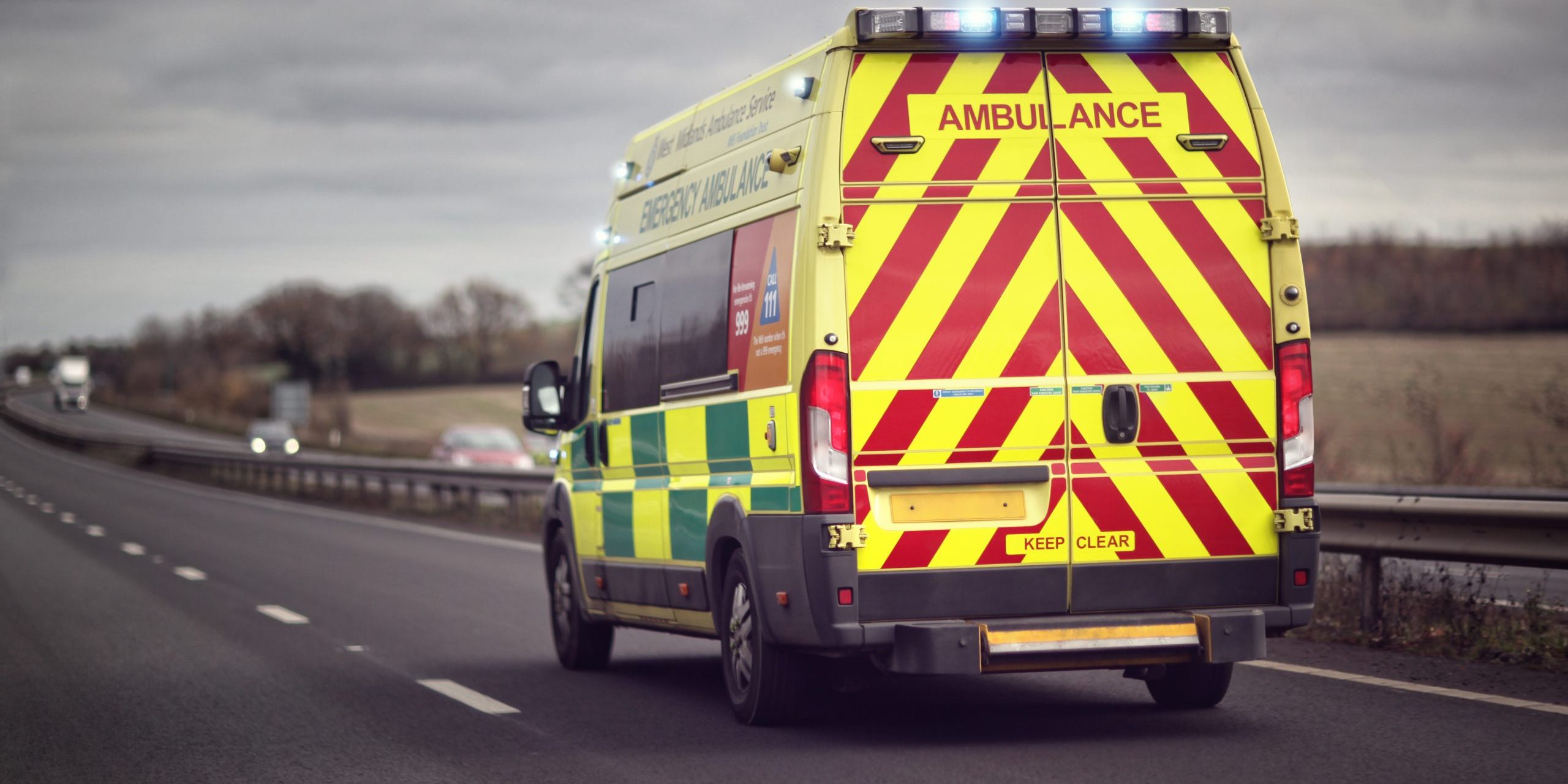 arborist business insurance arborist business insurance