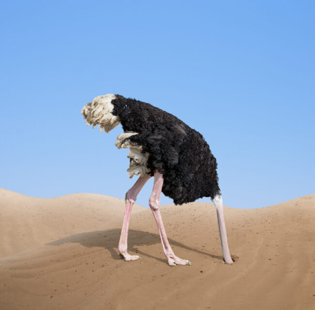 Scared,Ostrich,Burying,Its,Head,In,Sand,Concept