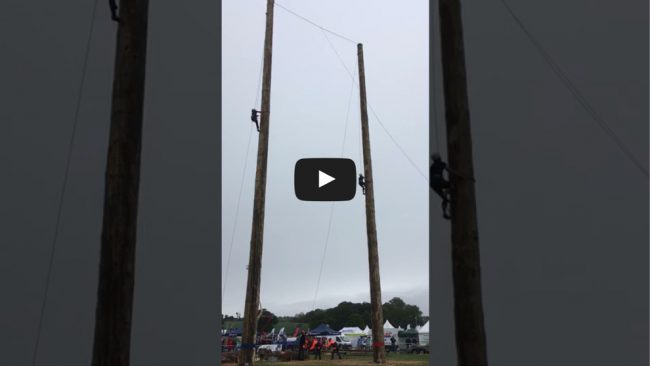Tree Climbers at APF2018