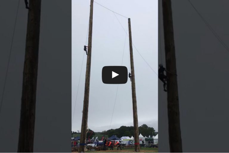 Tree Climbers at APF2018
